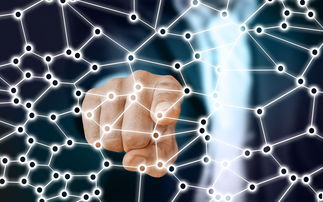 爱游戏 电竞-中国足球青训梯队人员年龄层结构，足球青训年龄段