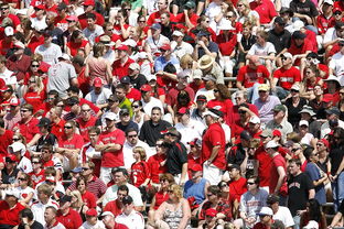 AYX体育官网-体育赛事观众行为特征与管理对策，观众对体育赛事的意义