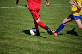 爱游戏app-国家队与俱乐部之间协调机制为何不顺畅，国家队比赛和俱乐部比赛冲突